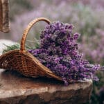 Fresh lavender bouquet on wooden table