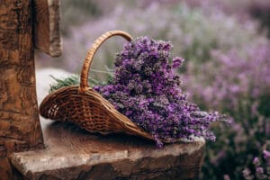 Fresh lavender bouquet on wooden table